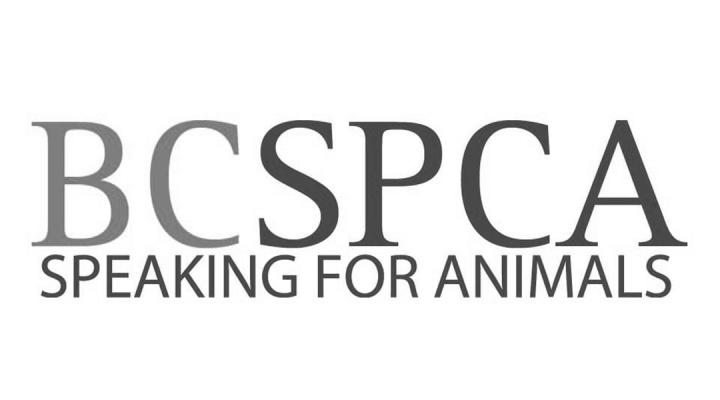 Spring Work BCSPCA