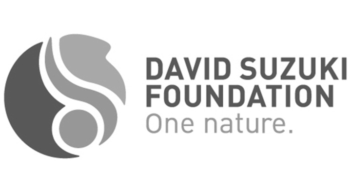Spring Work David Suzuki Foundation